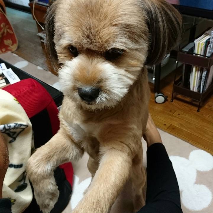 23d1c0d2 6100 45d9 957e 76d33cc56307