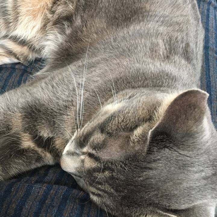 23d215ac a910 46a9 9b60 e2c010d4cf61