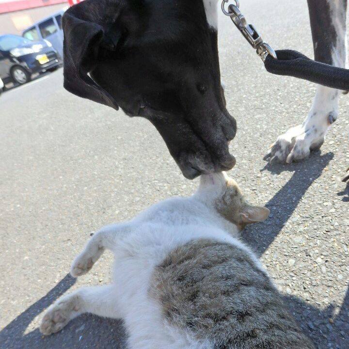 23d23750 94eb 4c17 ad6c d8dbc9e26279