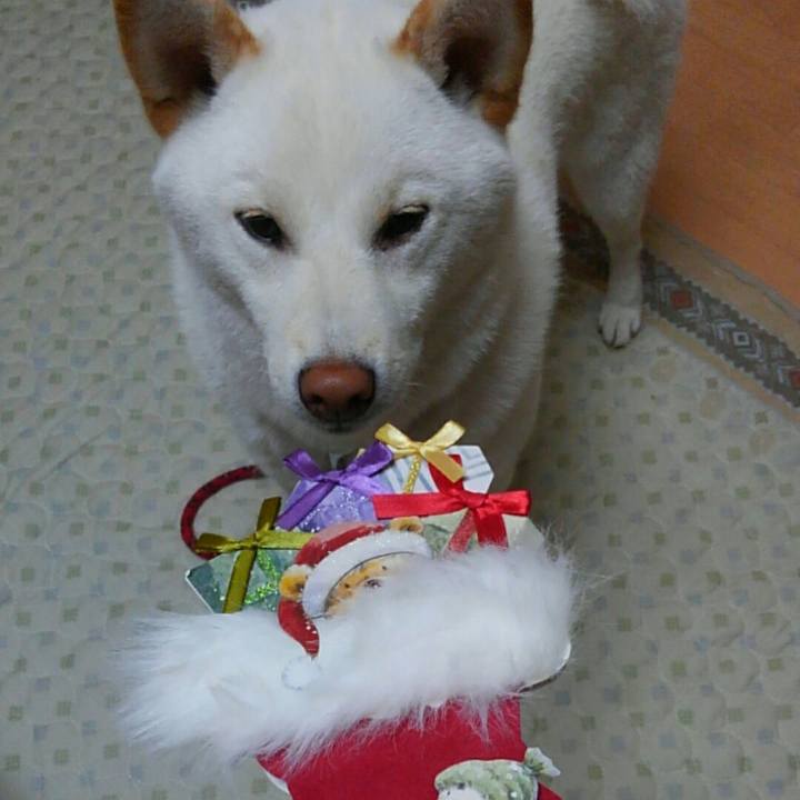 23d285b1 a036 4812 9030 e939fa8570a3