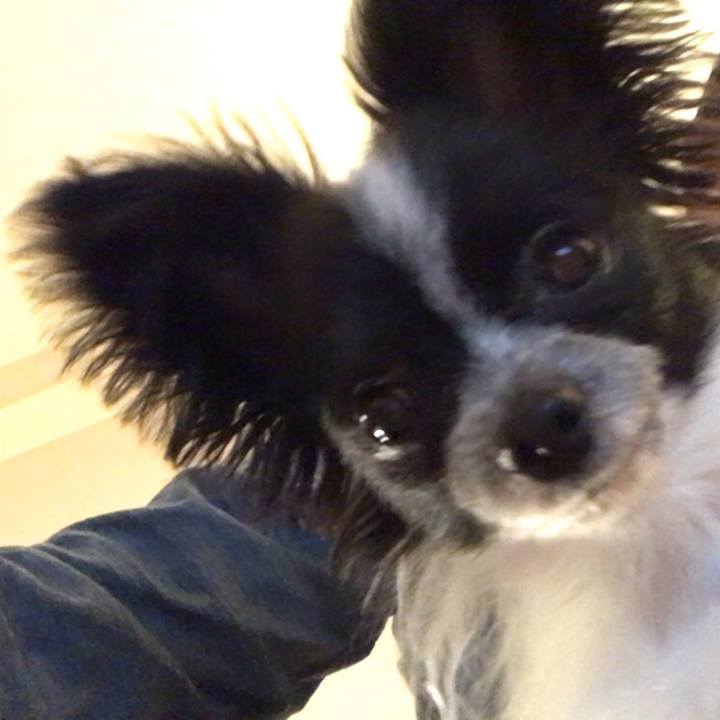 23d35ce4 fd9f 4825 a2a5 a4d8504909d0