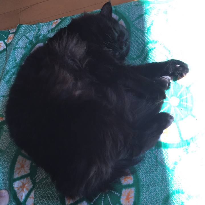 23d36060 0793 4d87 8378 e5111ee61aba