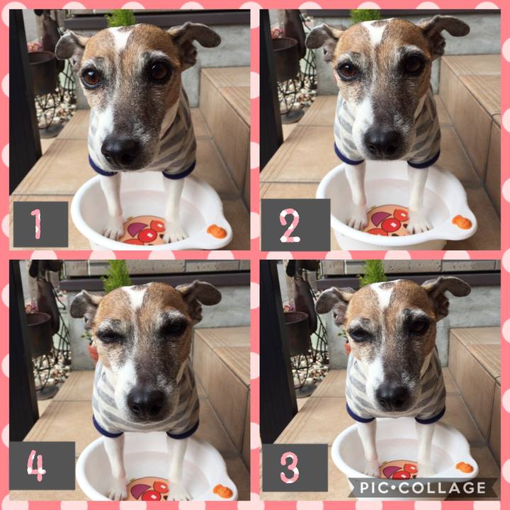 23d3bf66 1767 4c73 8f53 65fae77972bb