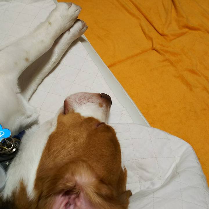 23d3c43e caf1 4c9d 9601 53c92917cafd