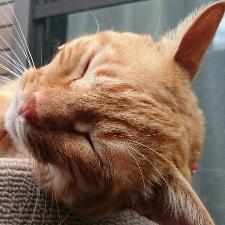 23d4510f 66fb 4abc a467 9b88d64864e4