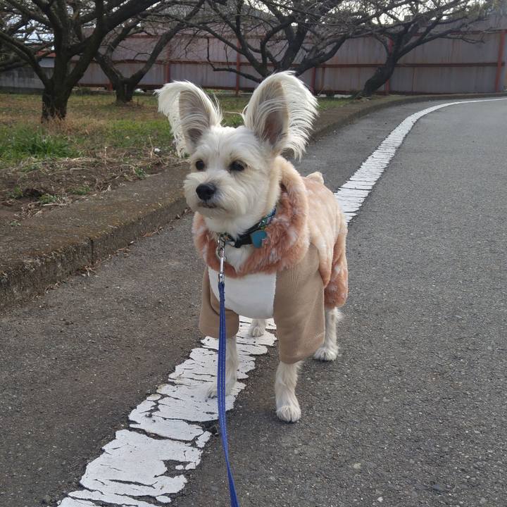 23d4516c 6670 47e2 9389 19bddd3f3f4f