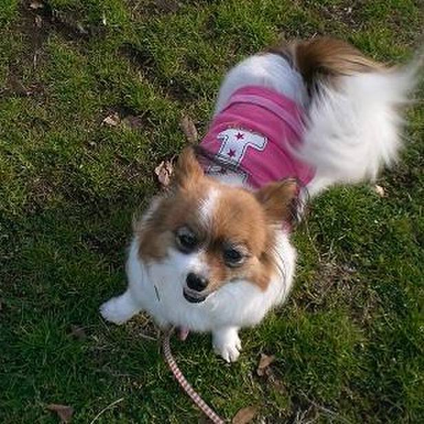 23d4f79a 13a5 49cc 9d41 09c40fe74ea8