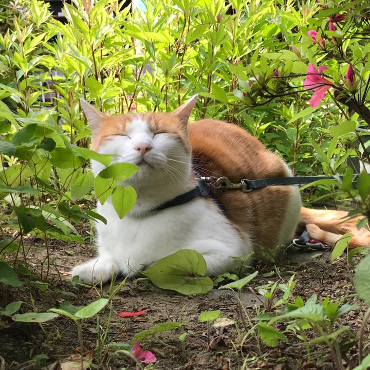 23d58b93 b173 4df3 bf05 3f9d109890cd