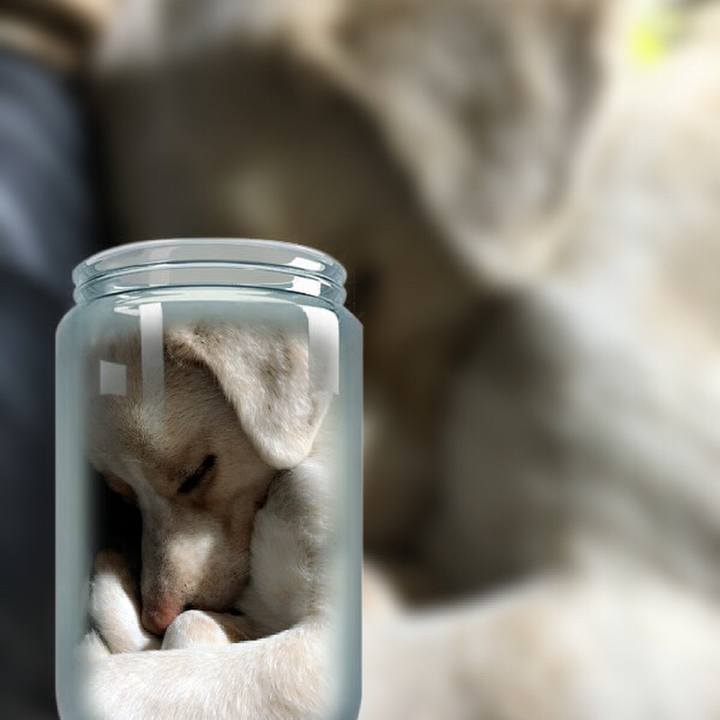 23d5aaf5 1e7f 4712 ad0e b6729ab33963