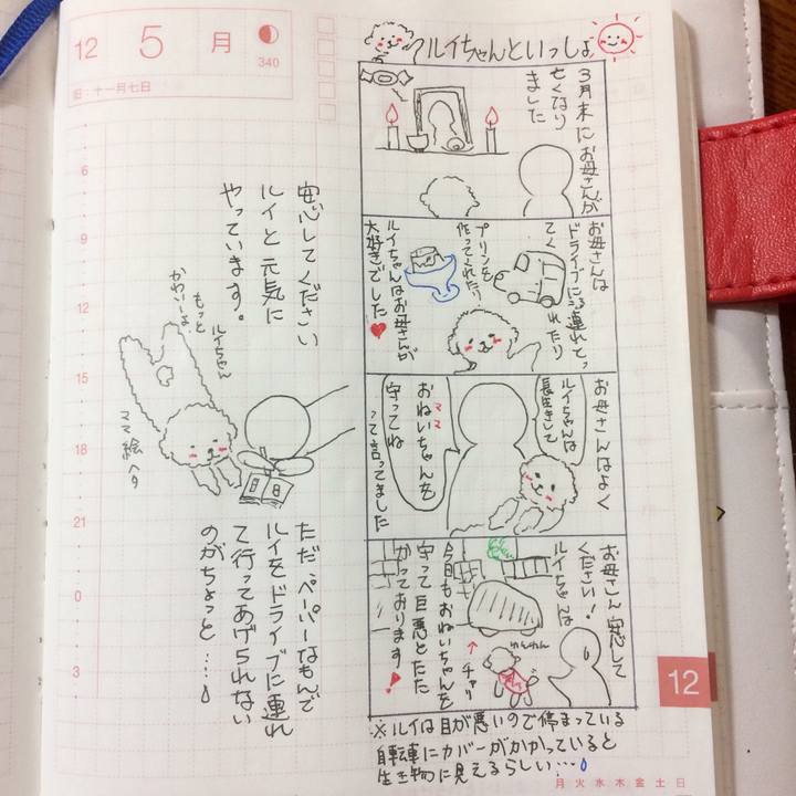 23d5b7d0 6335 4d36 ae98 3a13c695c492