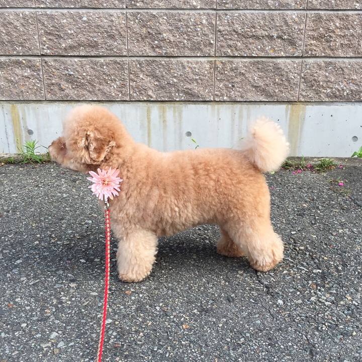 23d5ce93 040d 4f5c 9f31 8d7ae8ed1387