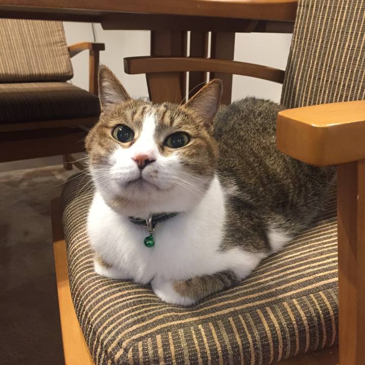 23d66737 7d74 41b7 9d0e 5f66d31e5f51