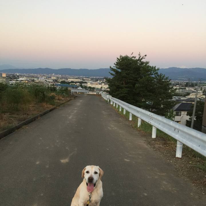 23d6ac45 a78a 440f b6bf bfc5b5d35e44