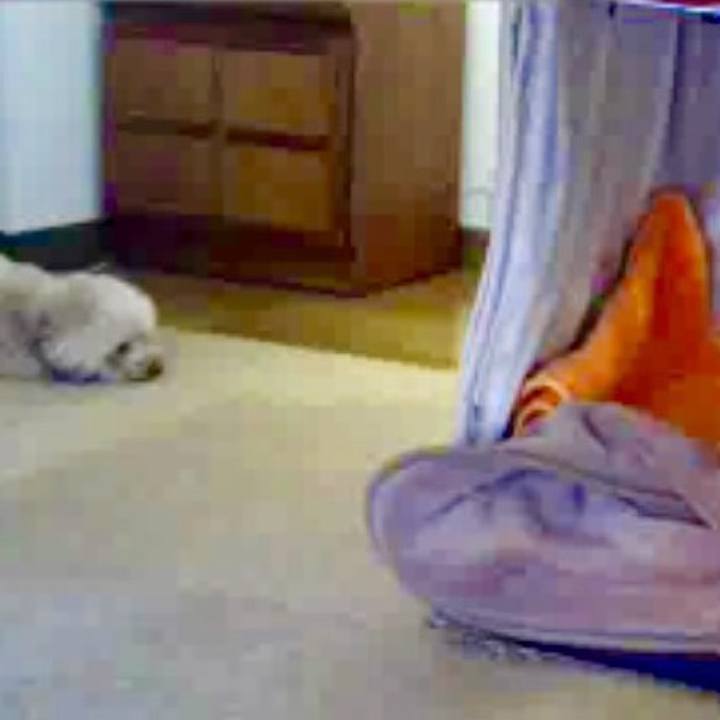 23d6ba63 5db9 4cae ac13 3f3e6f34228e