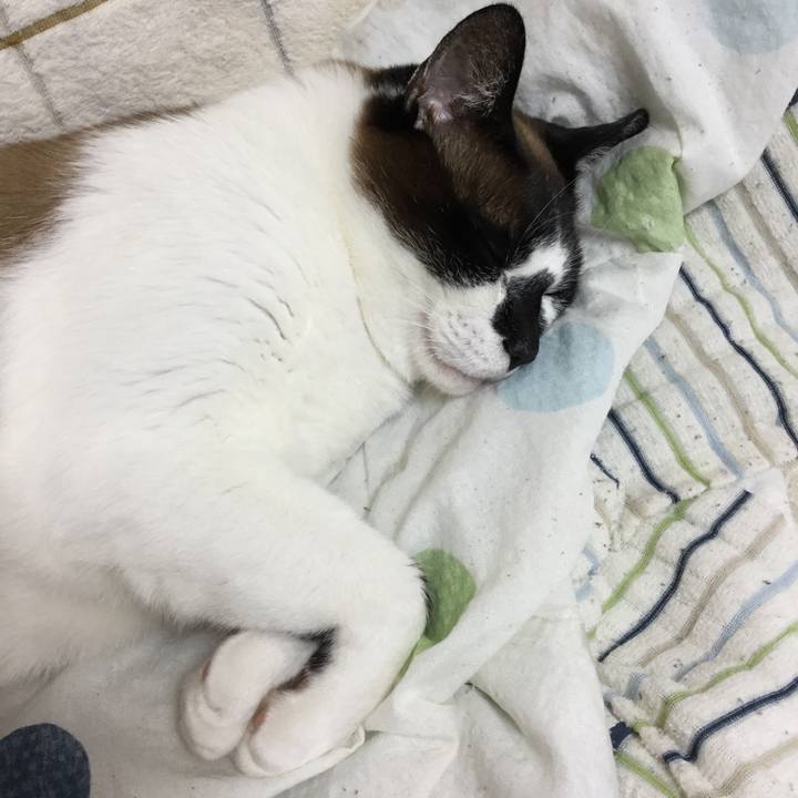 23d6ce20 64d7 433b 9a58 0ff88160100b