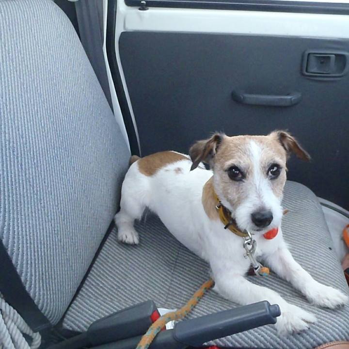 23d74861 833e 4ad2 937b fea7d953eeb4