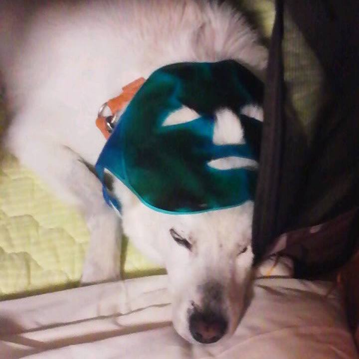 23d77733 796f 4edd 9fbd a3e9452ee094