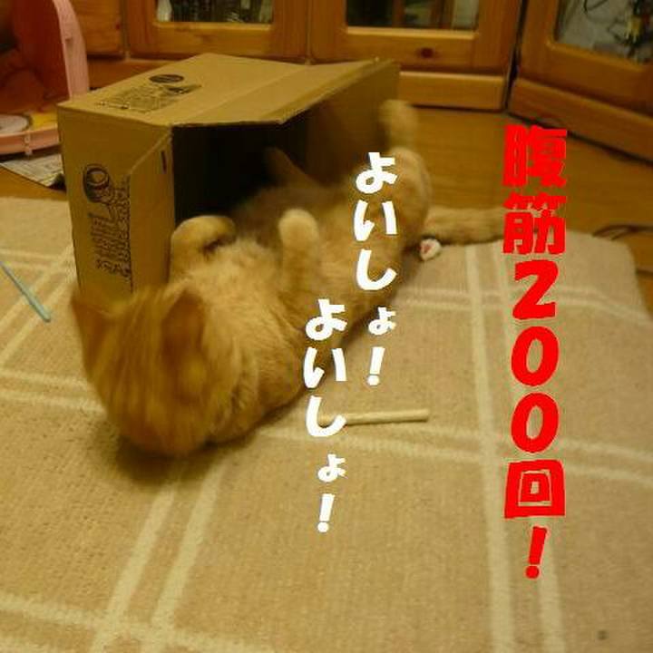 23d910fa cf83 4330 a3c4 ee6b63102a09