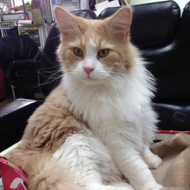 23d93b88 de2f 4aec b952 ae0b070b2c14