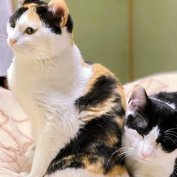 23d94fbd f408 48c8 89f0 5dbfaf2edf42