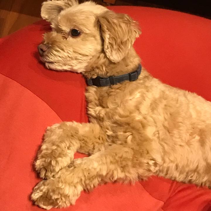 23d9c9da f85f 4306 854c eb04ff9ffbaf