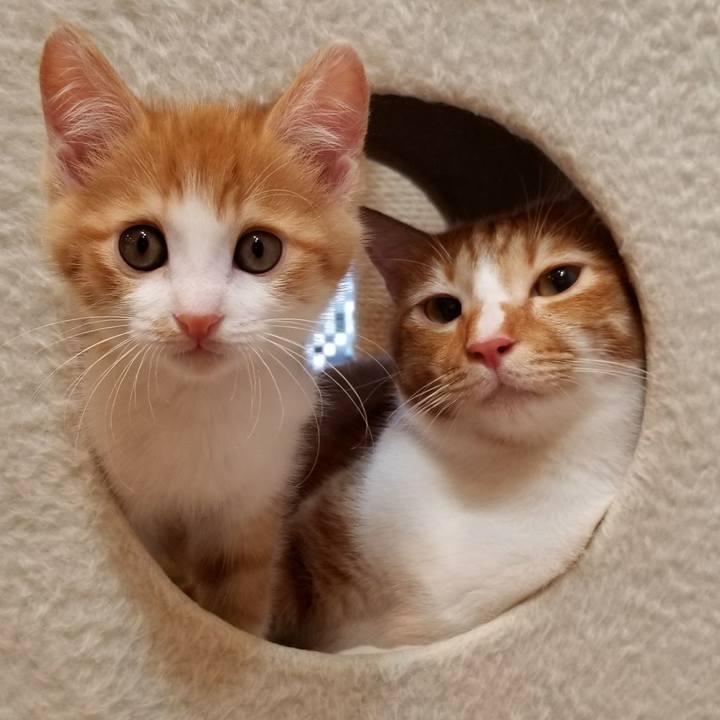 23da5205 eae6 4616 ae06 e61d8b94f282