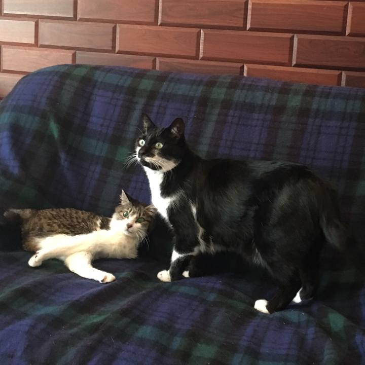 23dafe37 2024 40e5 9f4f 99bc35aa2484