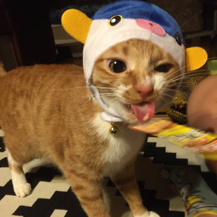 23dd6652 21d4 4afb a528 c312a9a1e832