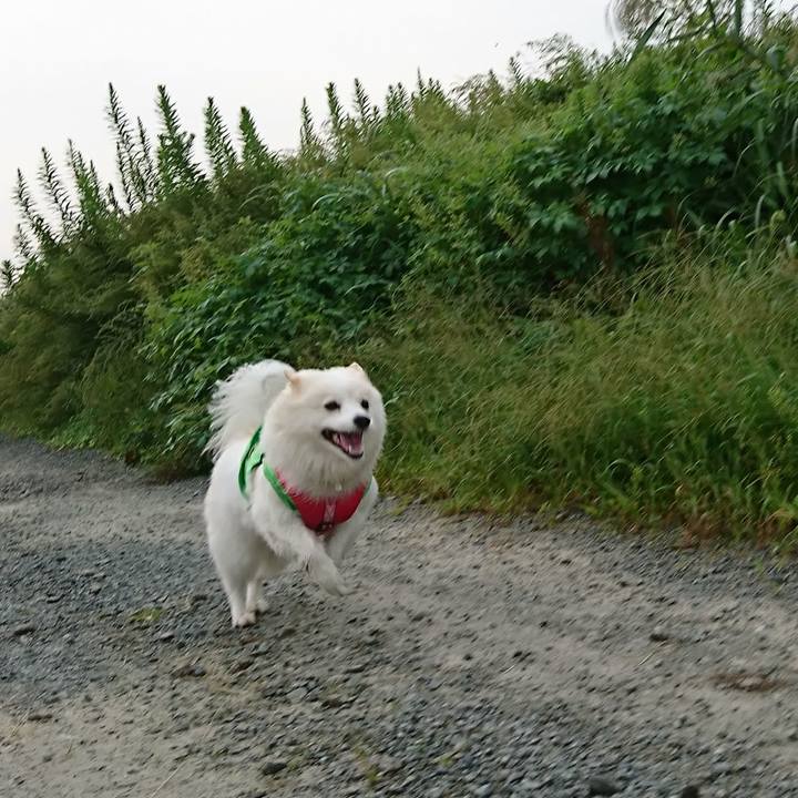 23dd6d70 bcdb 44b1 954a 68c3eb76d3a4