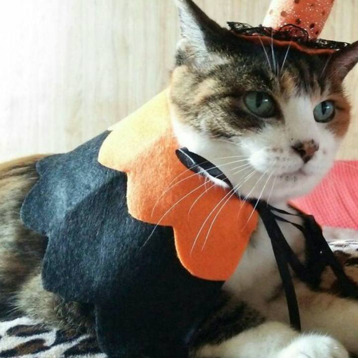 23dd9f02 03e1 48d3 938b 00d74980a558