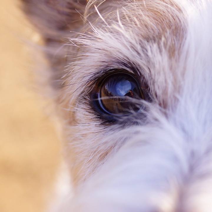 23dda252 65bd 49af bf7d 65ae0aba929d