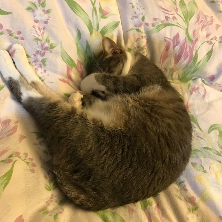 23ddc2d9 6c80 4b06 bc50 0e5bc1f03c5e