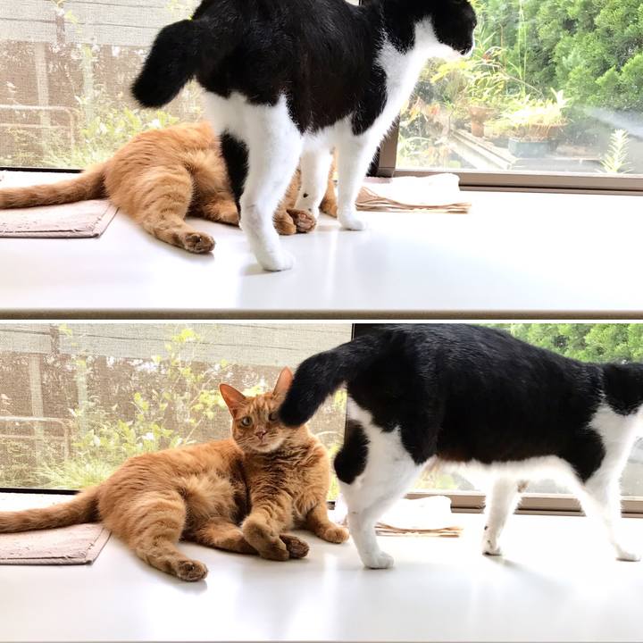 23de5ab8 f7d9 4343 864d 7c8837972a99