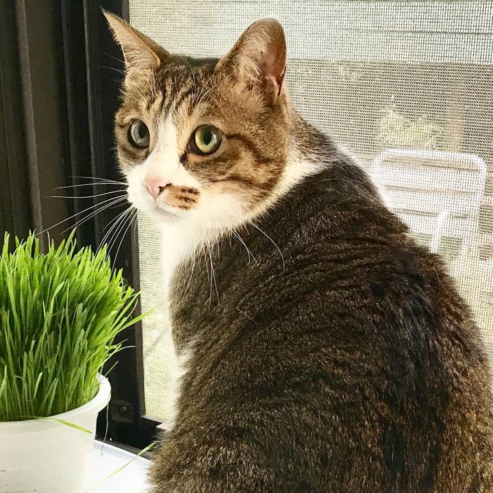 23de68c5 2fc9 4d08 bf3b 456a84e43c4d