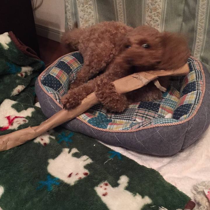 23df066f 84ed 41f7 881d cccd57610c21