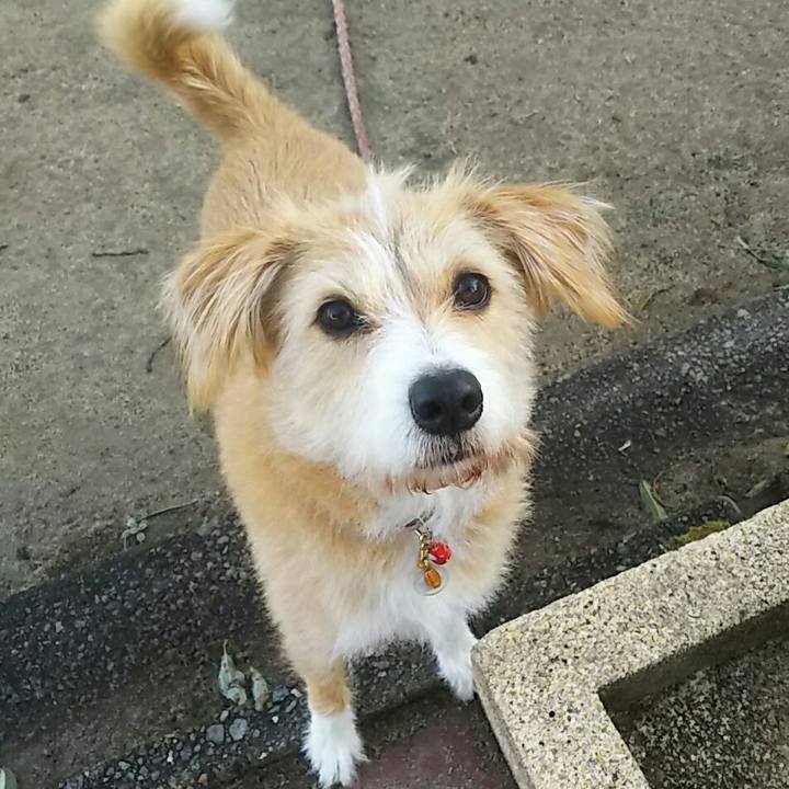 23dfd94c ab7a 4a4d 82a1 2f716cab4231