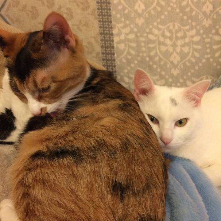 23dff958 dc89 4bc0 8fca d7ef9fb9a1fd