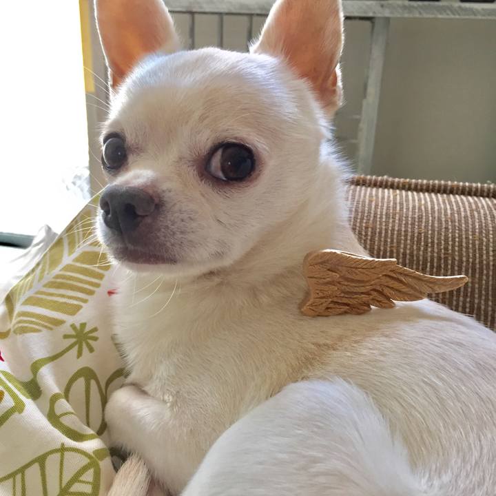 23e149a8 60ee 4a4f 9752 eb4099c5aeb8