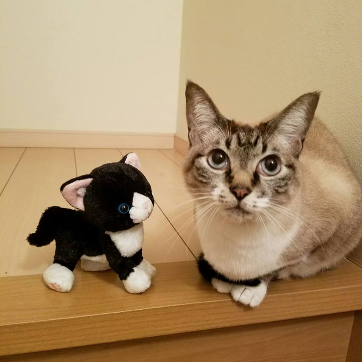 23e14c70 16e0 4677 bb4c c18833c8fc00