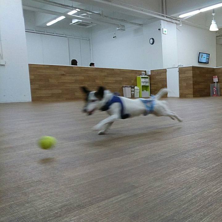 23e19e59 6b0a 42a3 bcf6 69ae27d5ae75