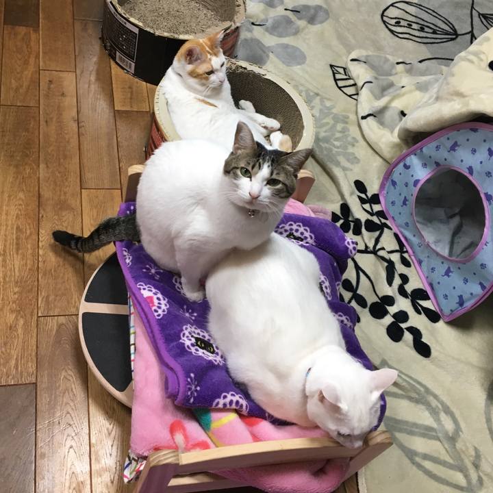 23e1c539 90d4 4628 ada3 64918982be8e