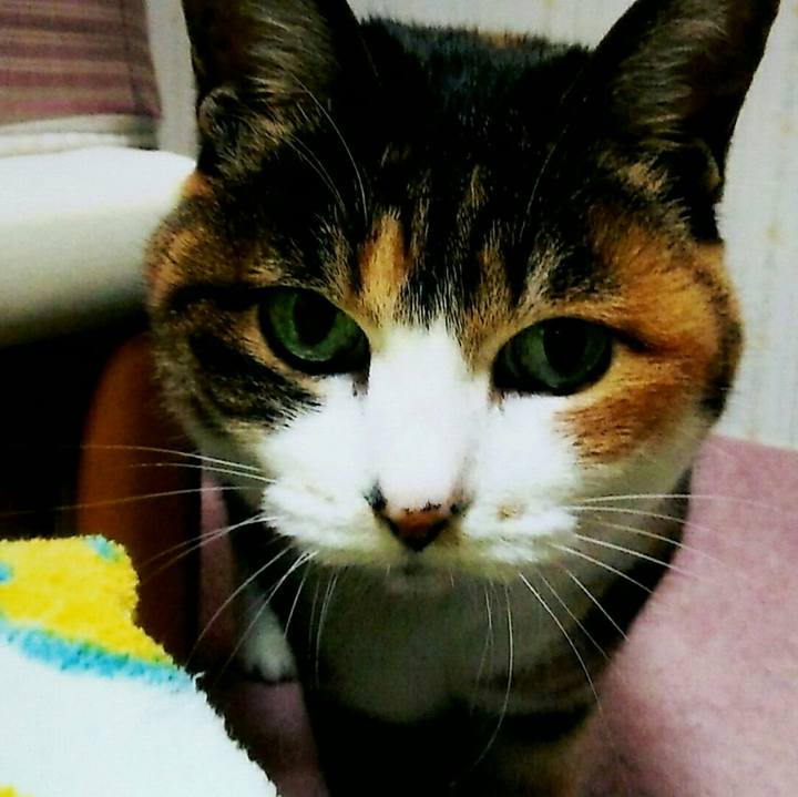 23e1c692 7a37 44b7 b41e b0020fb1887d