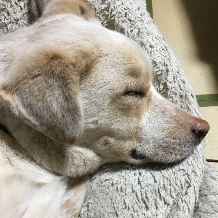 23e2c8d0 d0c2 48e8 9cdf 03e4735bbb4d