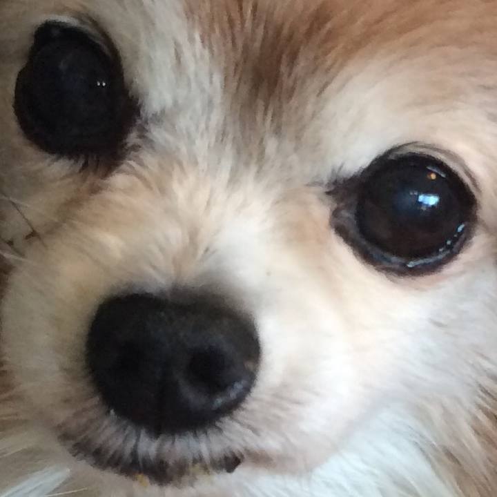 23e2fd84 2d86 4c2c a597 ec9ed0042cf0