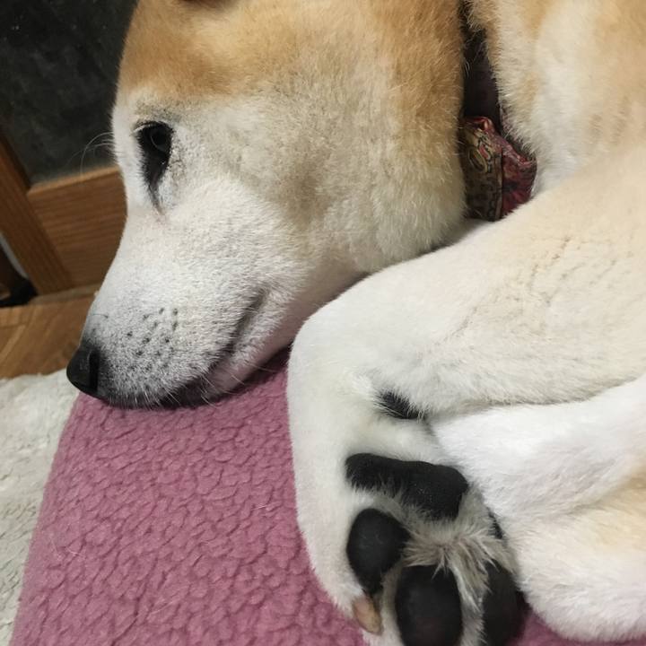 23e31c09 1144 4f04 b588 9fd6ed0f63a1