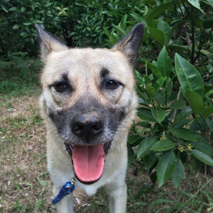 23e37b9f bbd9 4adf 991b 0755d09005e3