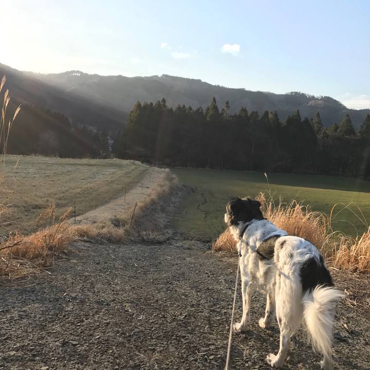 23e48e44 7c94 4202 89f1 1f6cecf46689