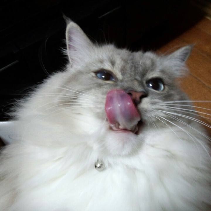 23e4bf8c b50d 4c4c 854e 37ec9b87573b