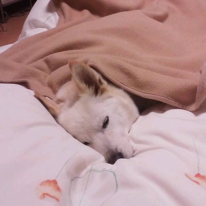 23e532f0 043a 4506 be15 14eccc0d8858