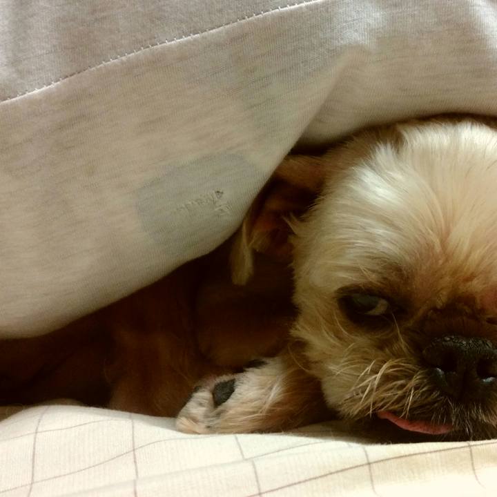 23e56ab3 56f3 45e0 a973 6277ac374719